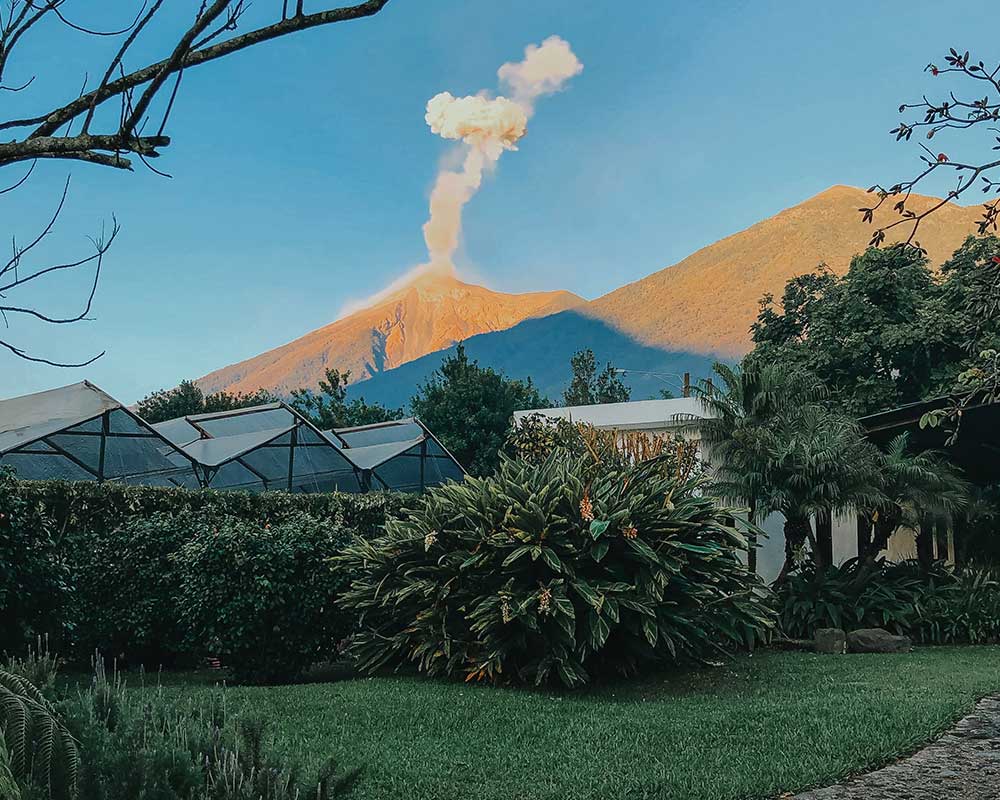 Understanding the rise in coffee prices Everything you need to know