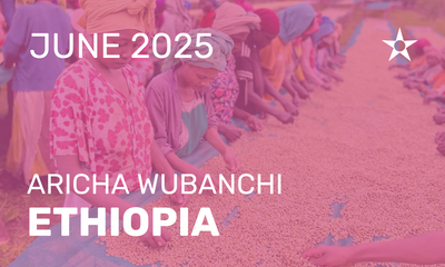 QHC Premium Club: June 2025