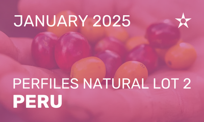 QHC Premium Club: January 2025