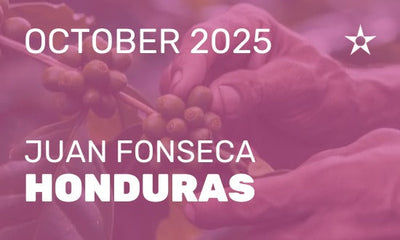 QHC Premium Club: October 2025