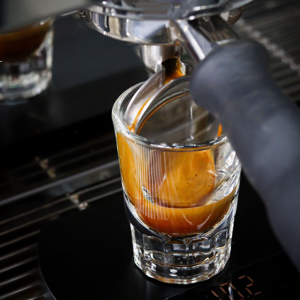 Dark Horse Espresso