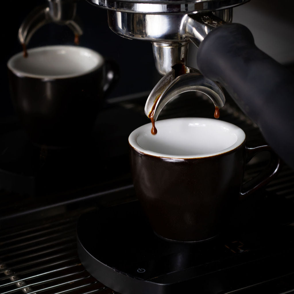 Overo Espresso