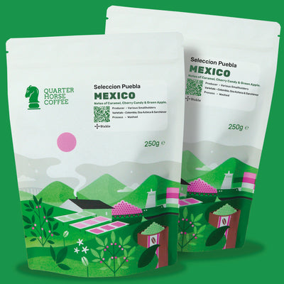 Seleccion Puebla