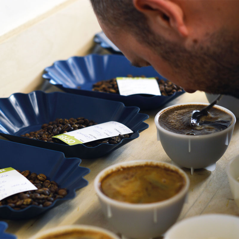 Cupping Coffee Experience